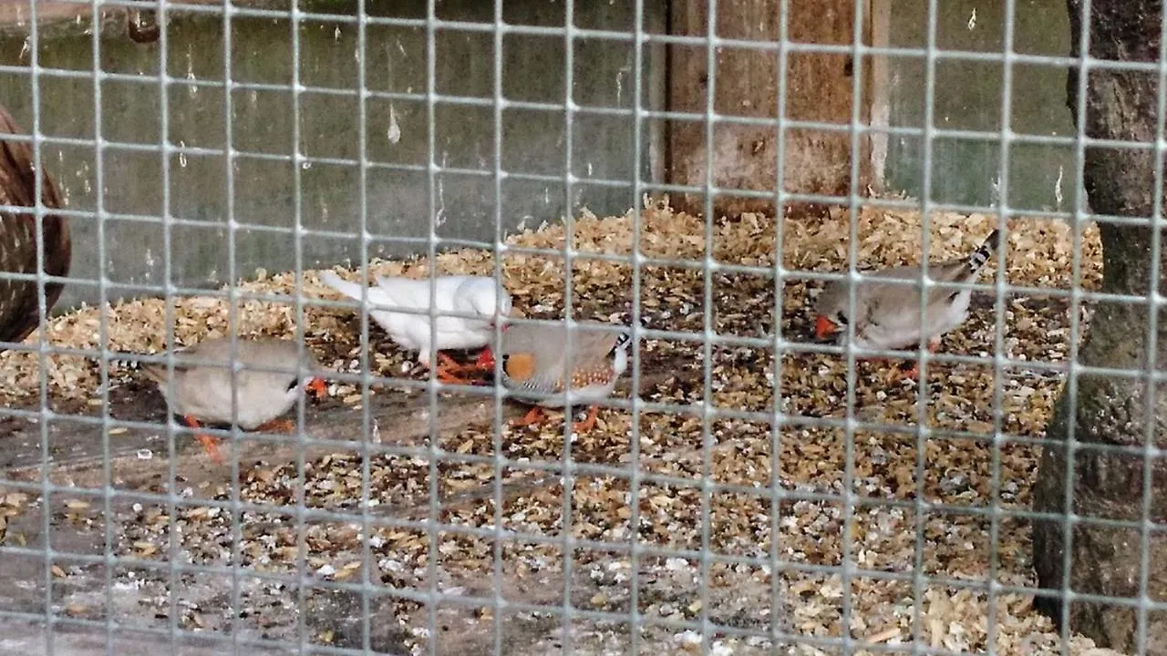 Bauernhof Ferienhof Fenzl Pocking