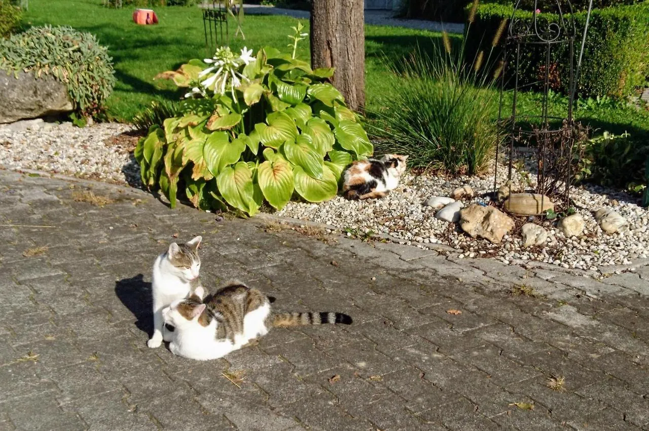Farm stay Ferienhof Fenzl Pocking