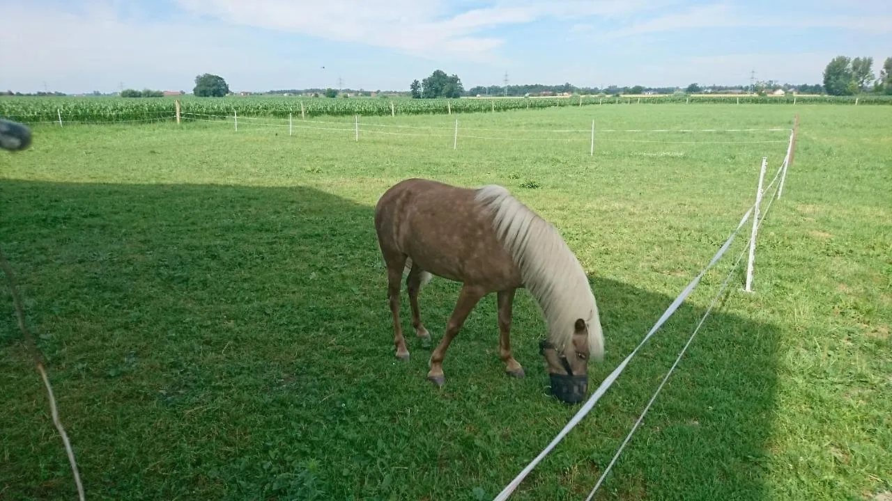 Ferienhof Fenzl Pocking Farm stay Pocking (Passau)