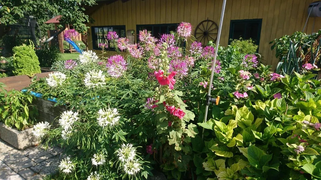 Farm stay Ferienhof Fenzl Pocking Germany